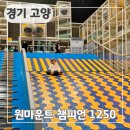 새 학기 친구와 가기 좋은 일산 원마운트 챔피언 1250 키즈카페 파티룸 주차 할인