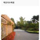 사랑의 하트 💖 부탁드려요 ~~경기 파주( 벽조치수목원 봄꽃축제 화려한 향연 유럽식 정원) 이미지