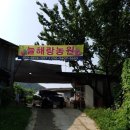 늘해랑농원 네이버블로그