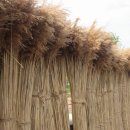 논실민박 이미지