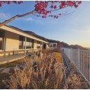 스테이 본디 이미지