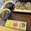 삼성전자(주) | 동탄 시원한 냉모밀 맛집 반월동 소바랑 화성 삼성전자점 후기