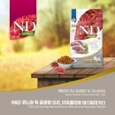 진주멍냥마켓