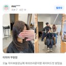 애쉬브라운 + 레이어드컷, 분위기 변화의 정석뉴이크헤어 이지아 부원장 시술 후기 분석