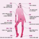 뷰티피엠 이미지