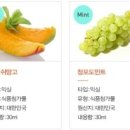 그린베이퍼 오산점