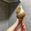 더좋은탕 이미지