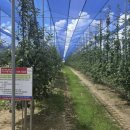 당진시농업기술센터 이미지