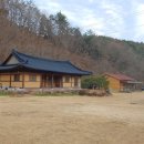 장수풍뎅이마을 이미지