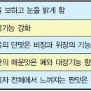 목화토금수
