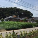 베가팬션