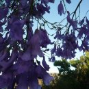 리버마운틴 이미지