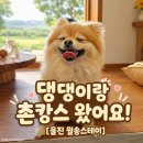 스테이시골 | 울진 독채펜션 월송스테이 후기, 시설부터 바비큐·조식까지 정리