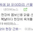 진기제 브런치