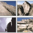 방화목장 이미지