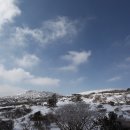 김세종농장 이미지