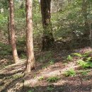 천마산10리길 이미지