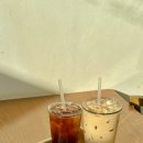 노만팜