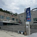 포항가자미물회식당 | 포항 환여동 물회 맛집 추천! 돌고래회식당 포항식 물회 참가자미물회 후기