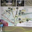 [대만/가오슝] 2일차 쓰차오 녹색터널 가는법 &amp; 표 구매 방법 등 후기