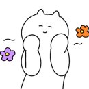등대지기꼼장어 이미지