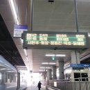 [정동진] 뚜벅이들의 강원도 정동진 당일치기 나들이(+정동진 놀거리/할거리/(맛집)먹거리)(+당일치기...