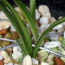 올젠테크놀로지 이미지