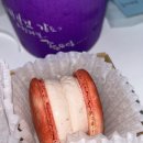 백카롱 이미지