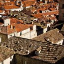 바른솔 행정사 사무소 이미지