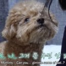 혜인2농장 이미지