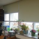 왜관동부초교 이미지