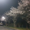 천안아산역 관광안내소 이미지