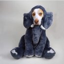 데일리풀 이미지