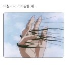 더마레