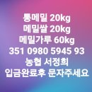 토종 제주메밀 통메밀 메밀쌀 메밀가루 판매 이미지