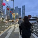 세번째 일상