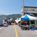 용구니아지트 이미지