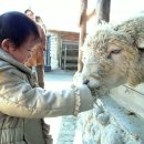 은찬목장 이미지