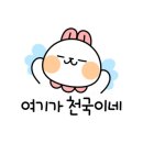 빈크런치 이미지