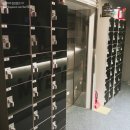 MUT GYM 이미지