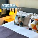 제이앤클로이 | 제주 서귀포 오션뷰 펜션 제이앤클로이 가성비 흑돼지바베큐 추천