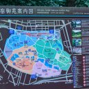 신주꾸 이미지