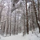 ＠ 눈꽃의 향연 속으로 ~ 태백산 겨울 나들이 (당골, 눈꽃축제장, 석탄박물관) 이미지