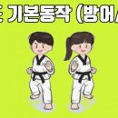 쌍용예가태권도 이미지