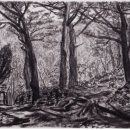 @ 골뱅이 PC방 이미지