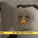 딩동댕 이미지