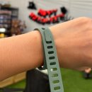 우림농장 | 김해열대우림체험농장 파충류 식물원체험 동물먹이주기 초등학생과 다녀온 후기