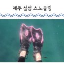 구름약국 | 제주도 섶섬 스노클링 에코다이버스 호핑투어 내돈내산 후기