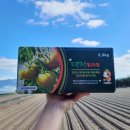 서영농장 이미지