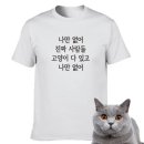 나만 없어 고양이 이미지
